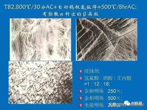 钛及钛合金的组织特征